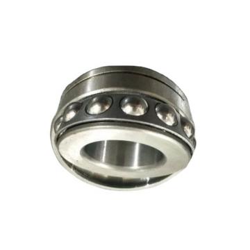 Hot Sale Pillow Block Bearing with Professioanal Equipments (UC205)