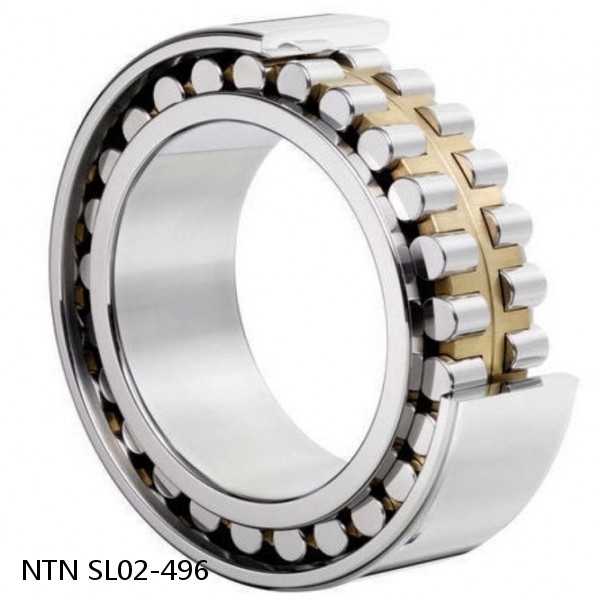 SL02-496 NTN Cylindrical Roller Bearing