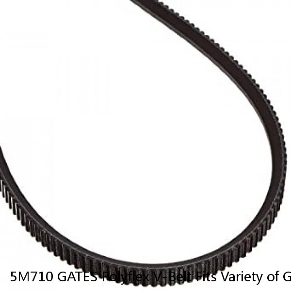 5M710 GATES Polyflex V-Belt Fits Variety of Grizzly, Harbor Freight, Jet Lathes